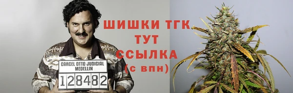mdpv Новодвинск