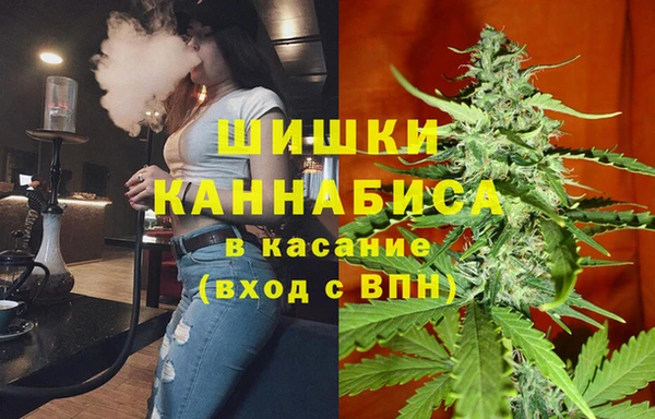 mdpv Новодвинск